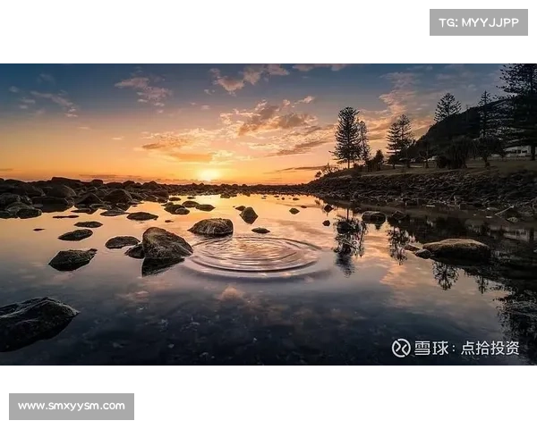 投资欧洲杯的关键问题及风险分析与策略建议